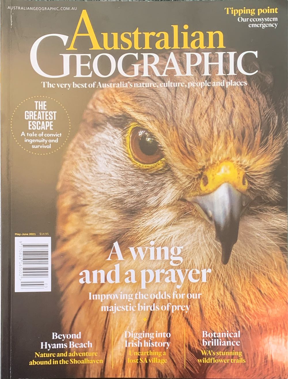 PB0505 Playboy May 1958 Centerfold