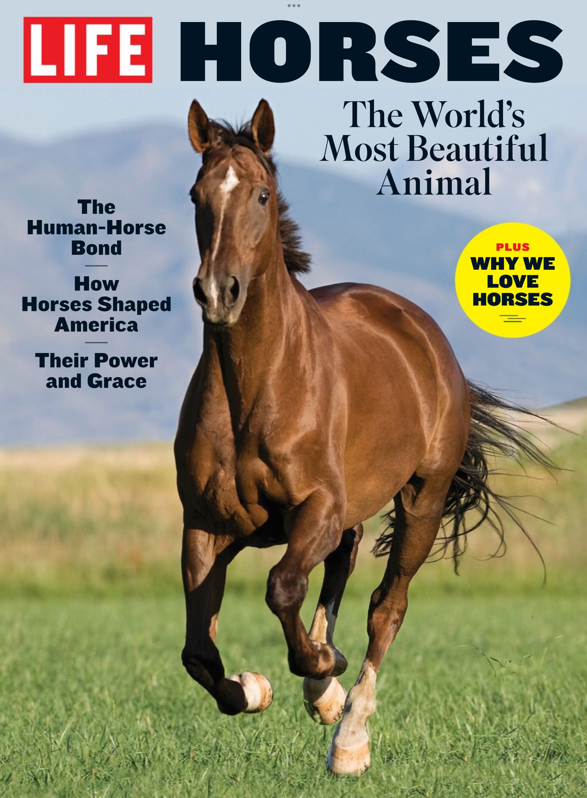 Forks Over Knives 100 Best Plant-Based Recipes  2021 January