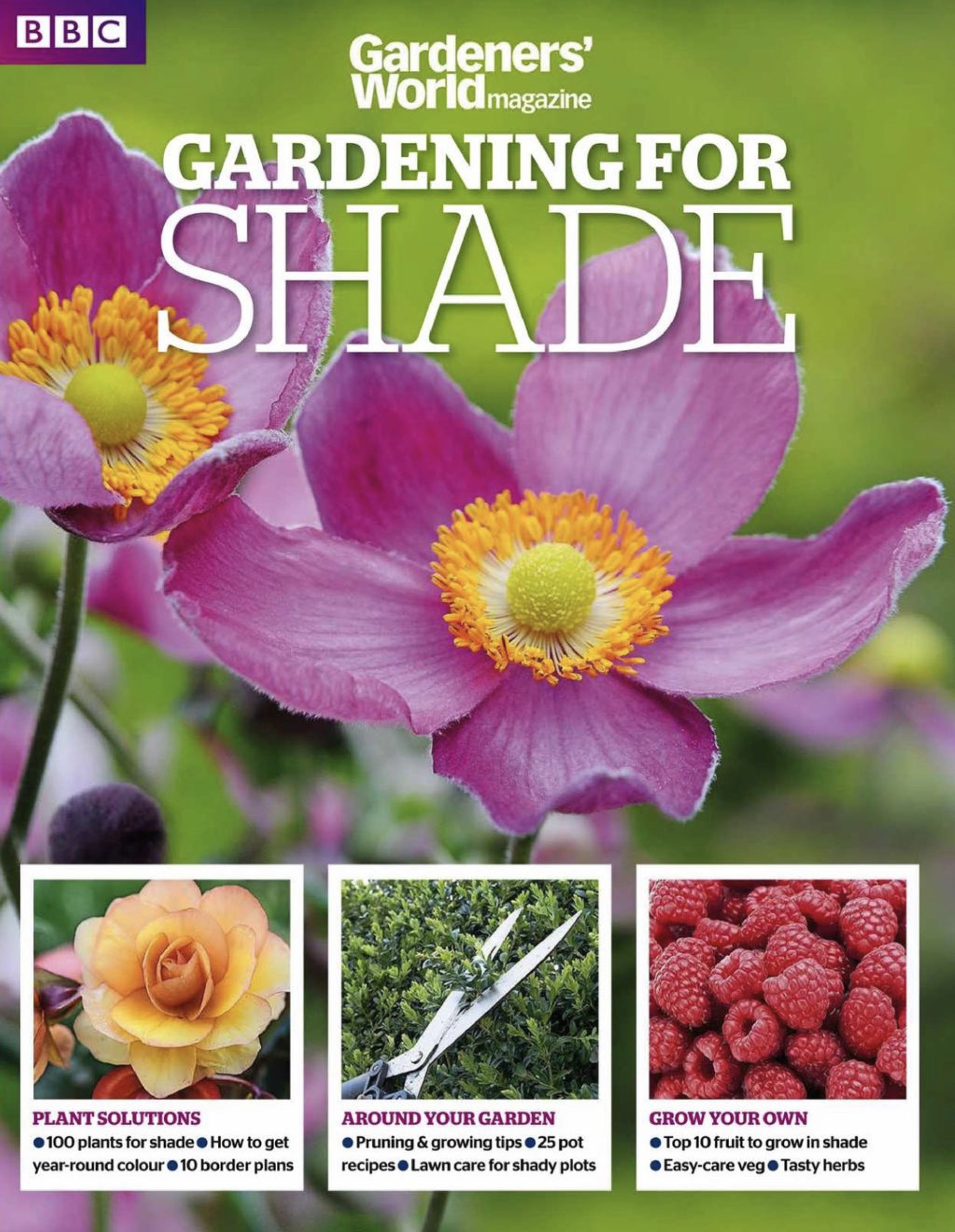 Club Play Año 7 # 74