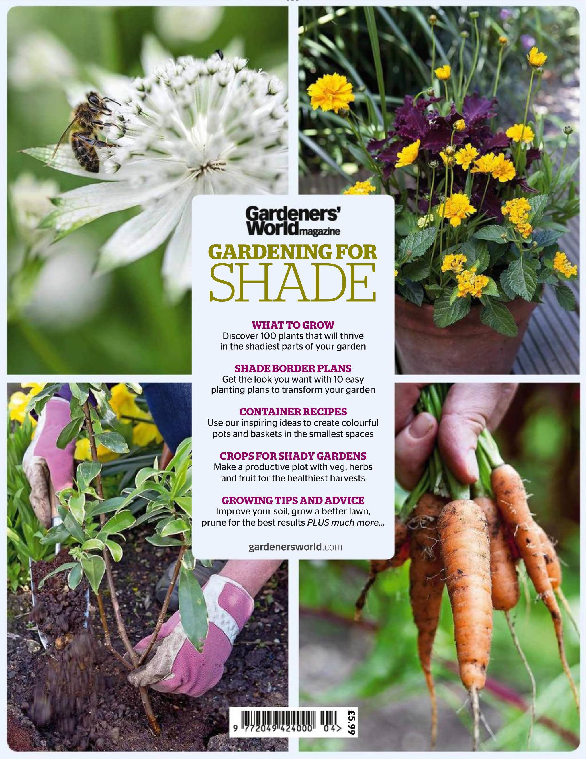 Gardeners’ World Magazine - Gardening For Shade  2015 May  (May) magazine collectible - Main Image 2