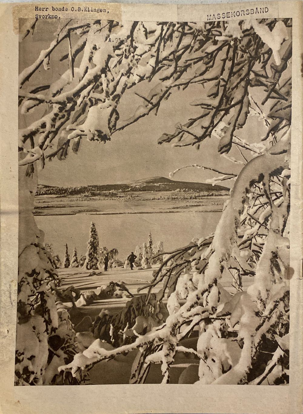 Munin (H)  (January) magazine collectible - Main Image 2