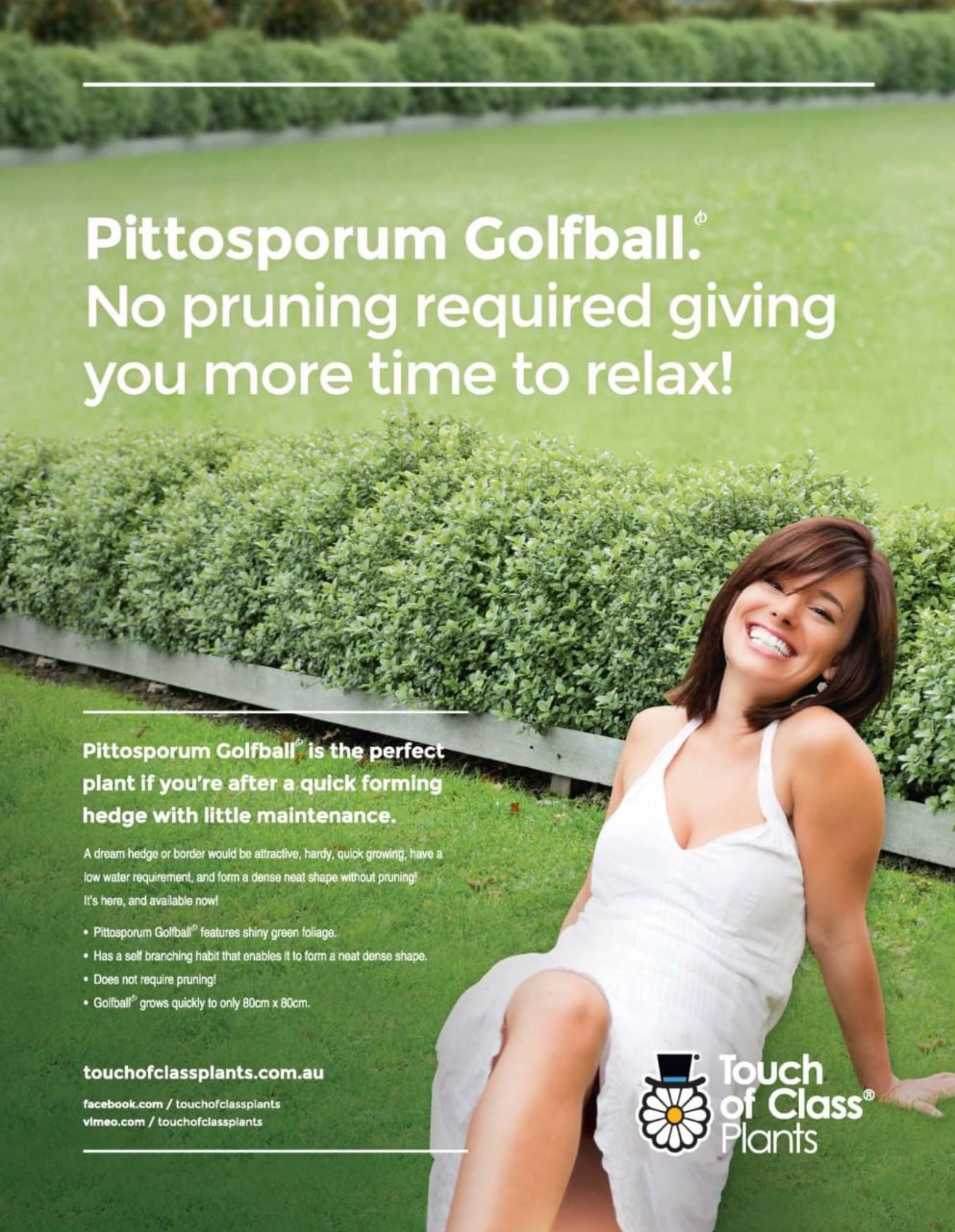 Australian Country Gardens  2014 March  (March) magazine collectible - Main Image 2