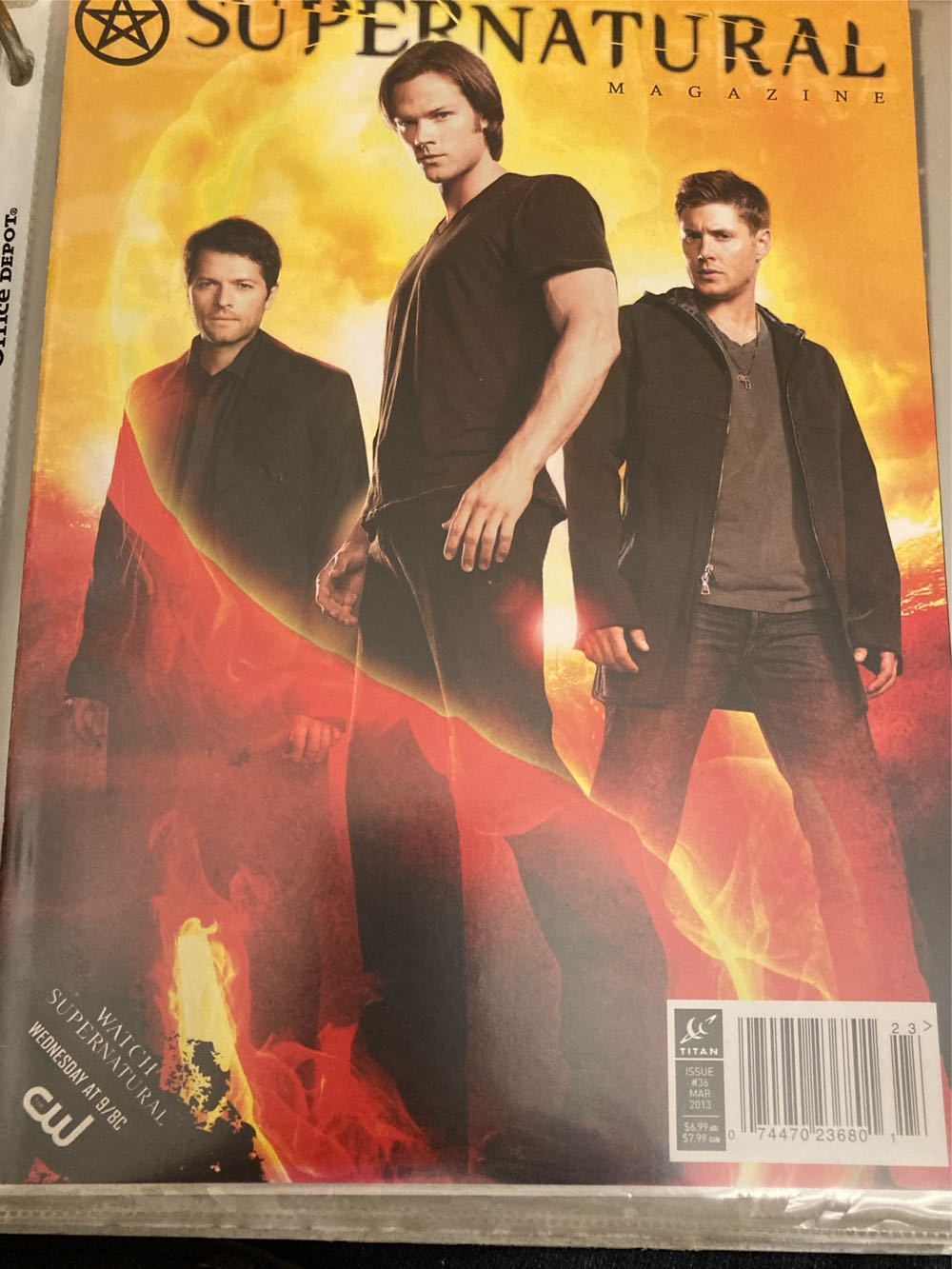 Andrew Jackson: An American Populist