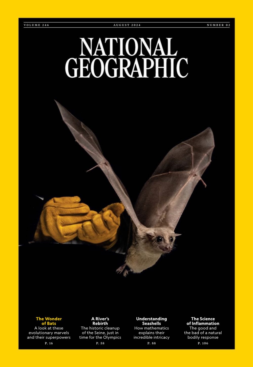 Andrew Jackson: An American Populist