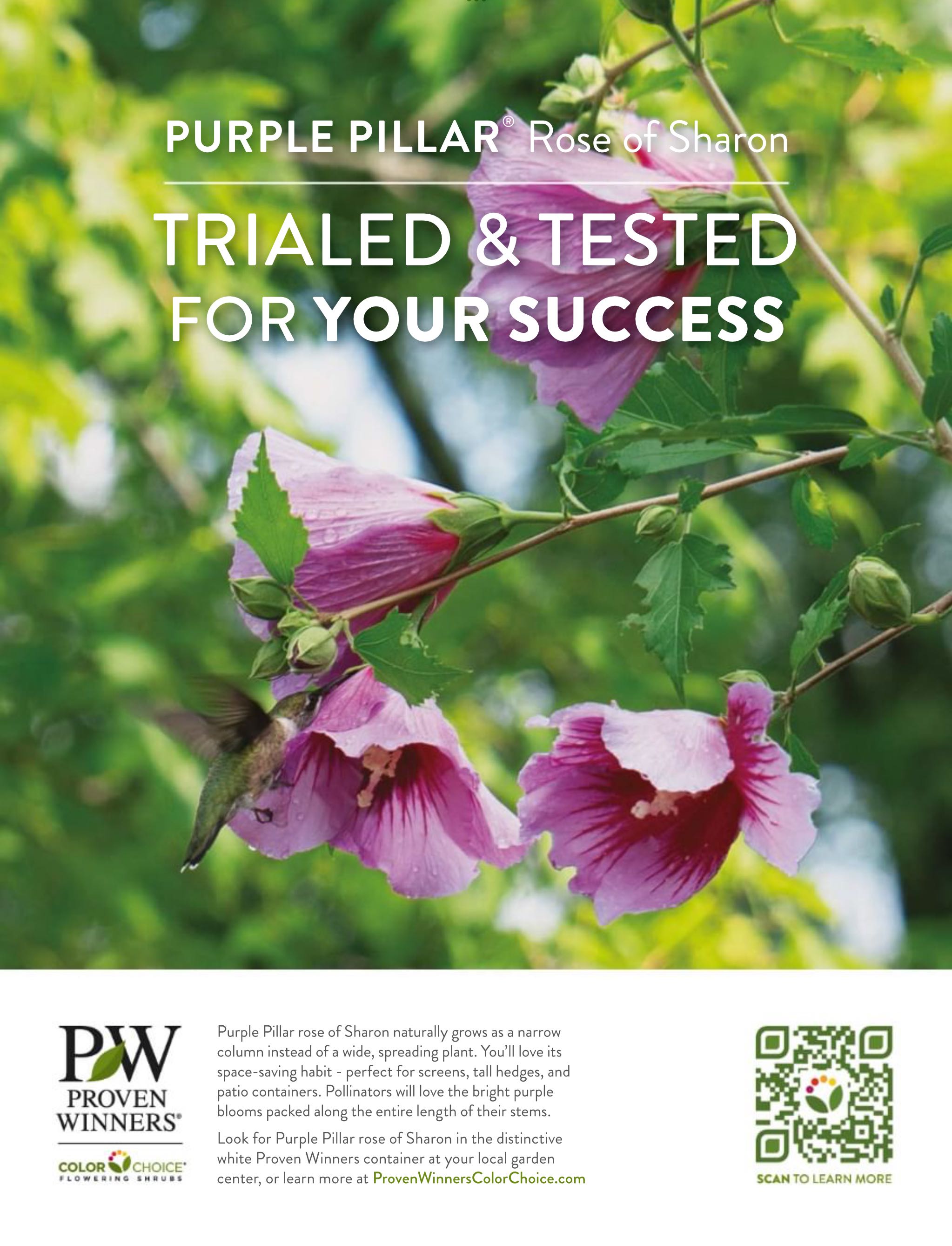 Garden Gate  2024 July-August  (July) magazine collectible - Main Image 2