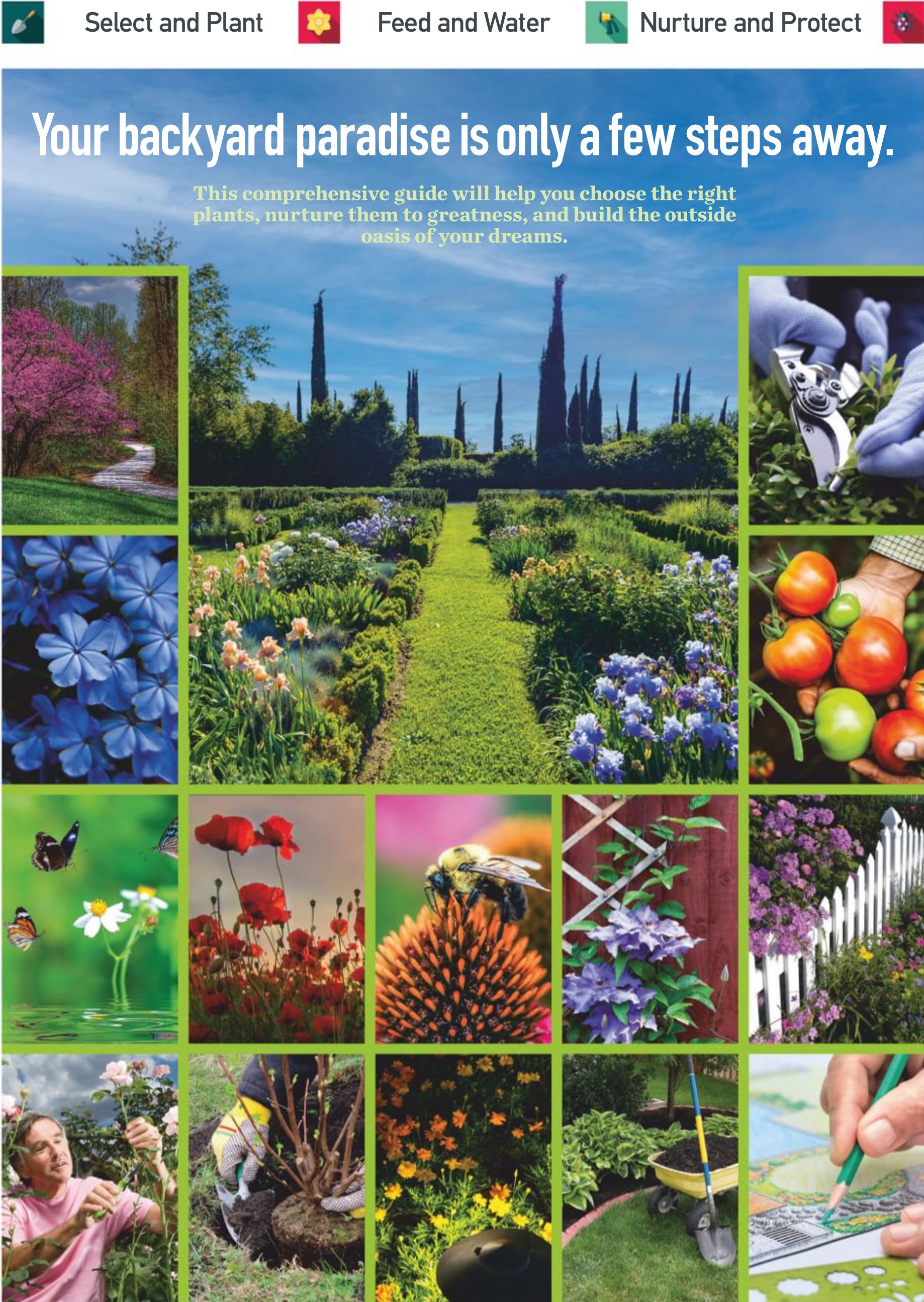 Your Comprehensive Guide to Outdoor Plants  2024 May  (May) magazine collectible - Main Image 2