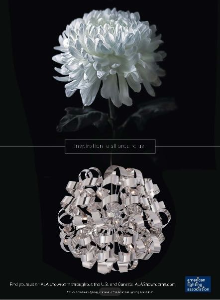 Traditional Home  2024 Fall  (July) magazine collectible - Main Image 2