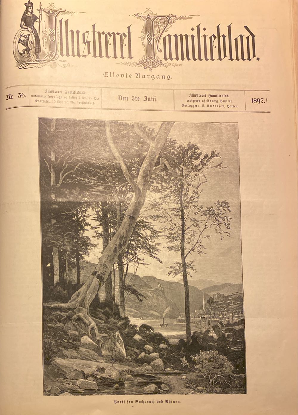 New Scientist  2024 July 13-19