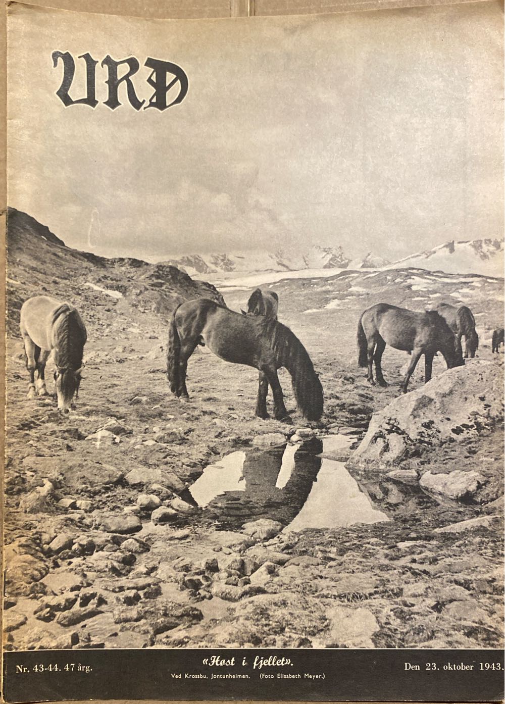 Philosophy Now | Issue# 98