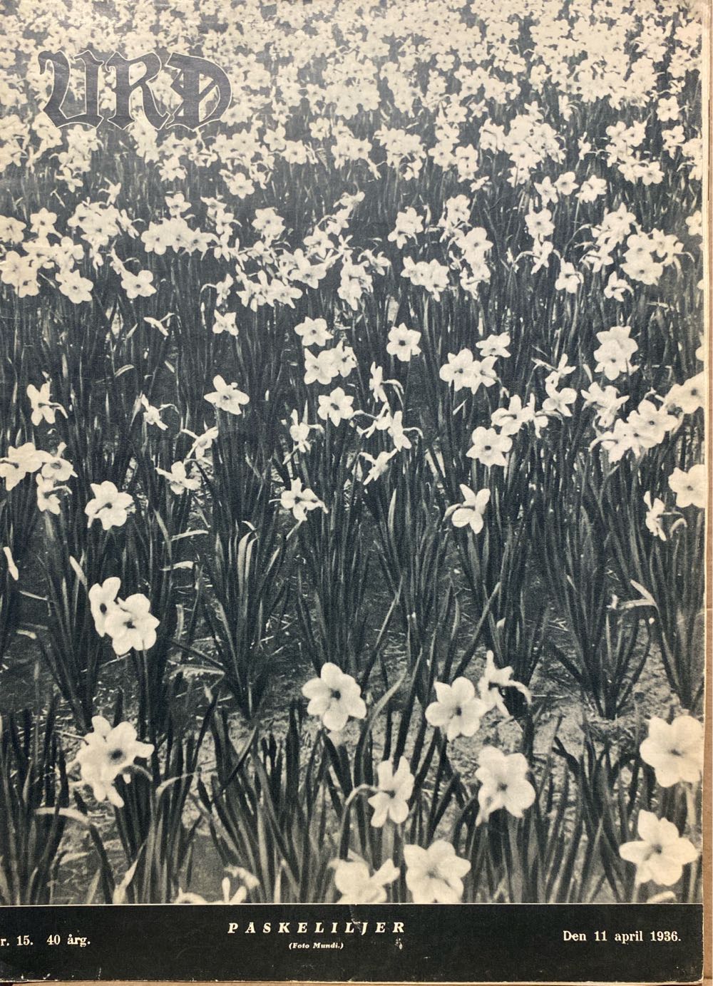 The Ultimate Guide To Supernatural