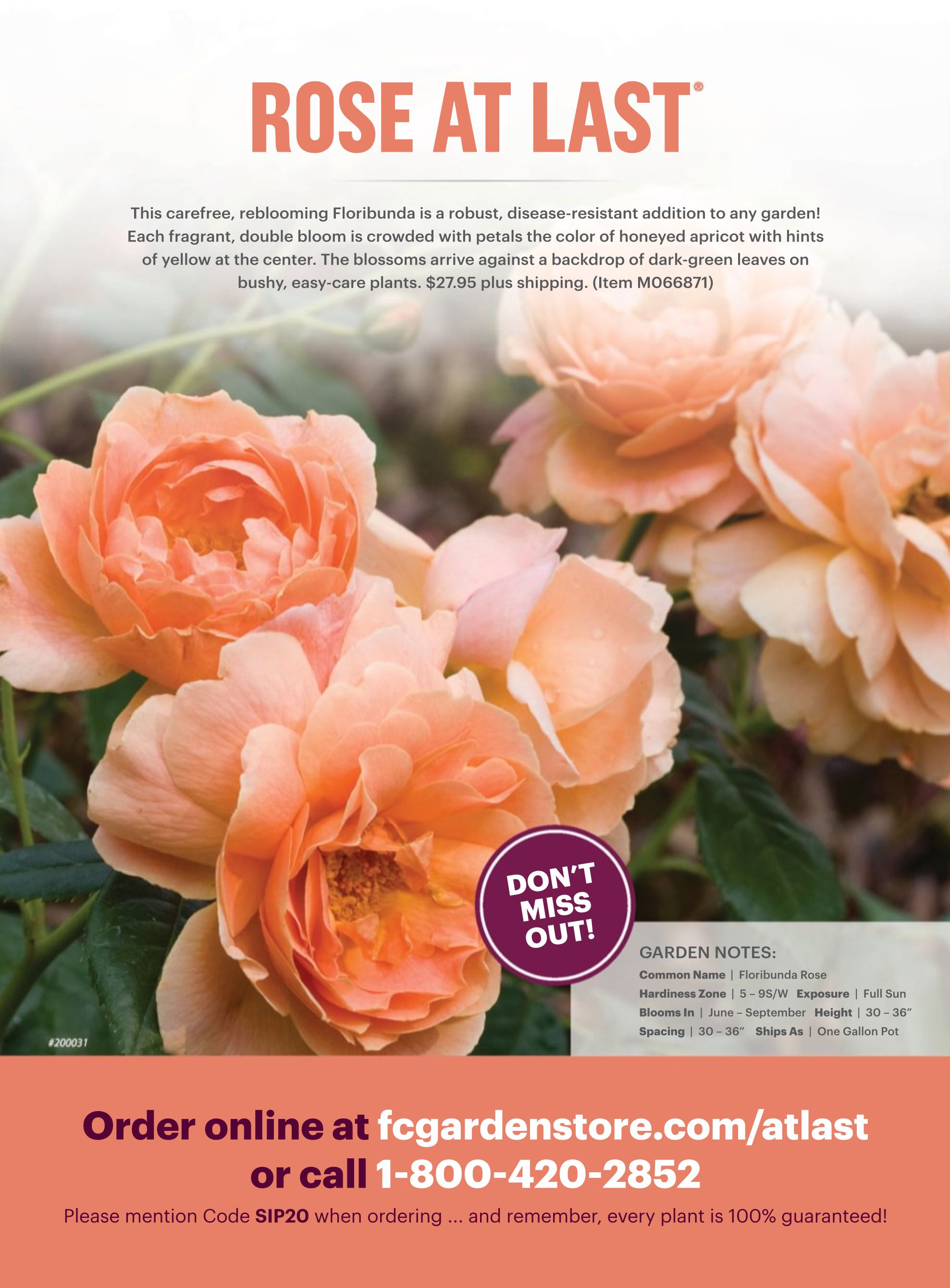 BH&G Remodeling Room-by-Room  2020 March  (March) magazine collectible - Main Image 2