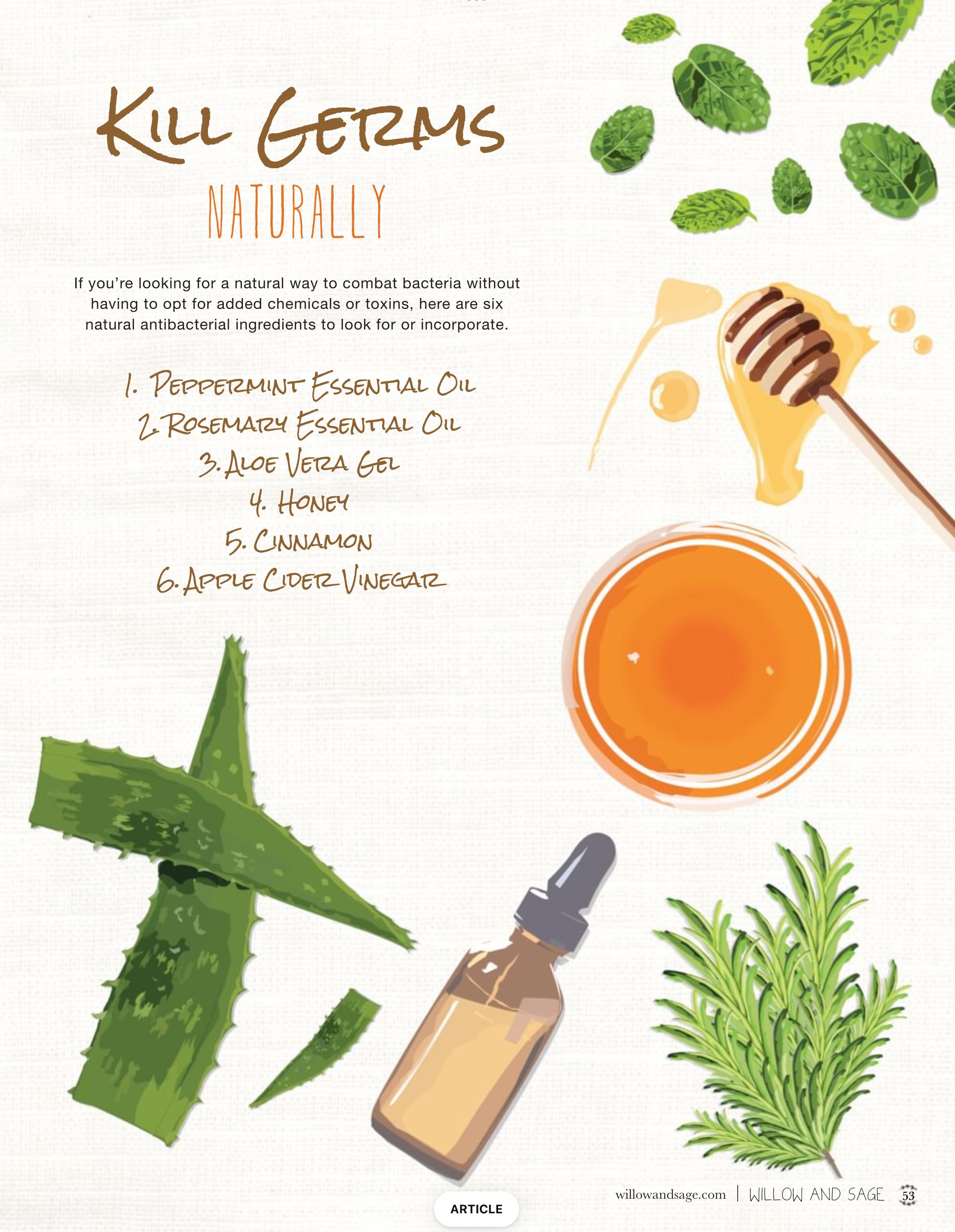 The Natural Home Issue  2024 August  (August) magazine collectible - Main Image 2