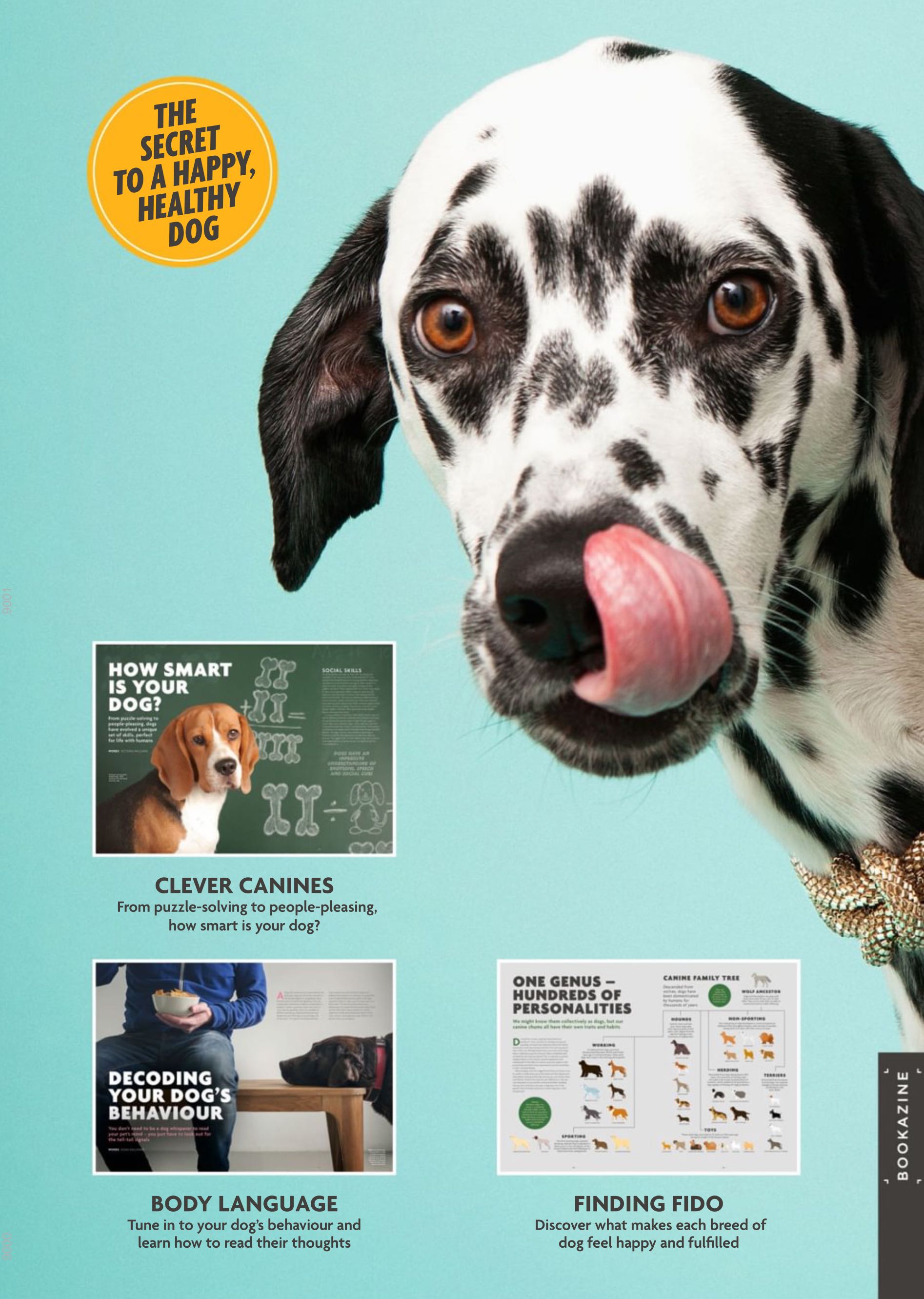 What Your Dog Is Trying To Tell You  2024 May  (May) magazine collectible - Main Image 2