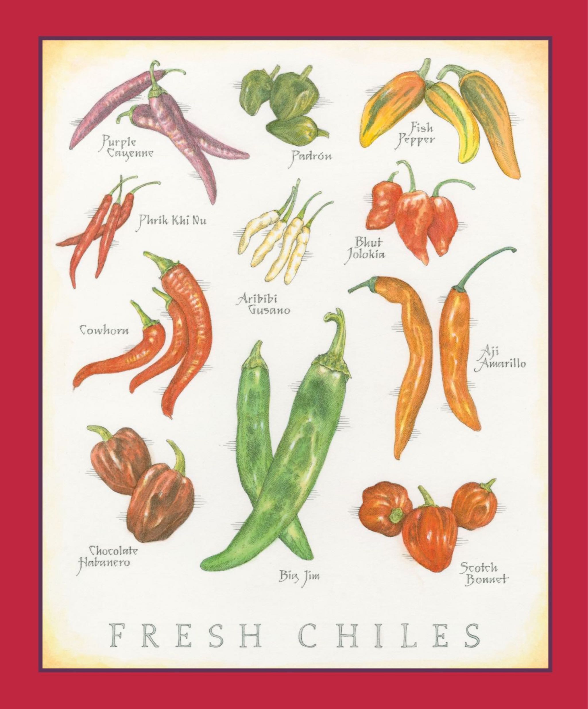 Cook’s Illustrated  2024 September-October  (September) magazine collectible - Main Image 2