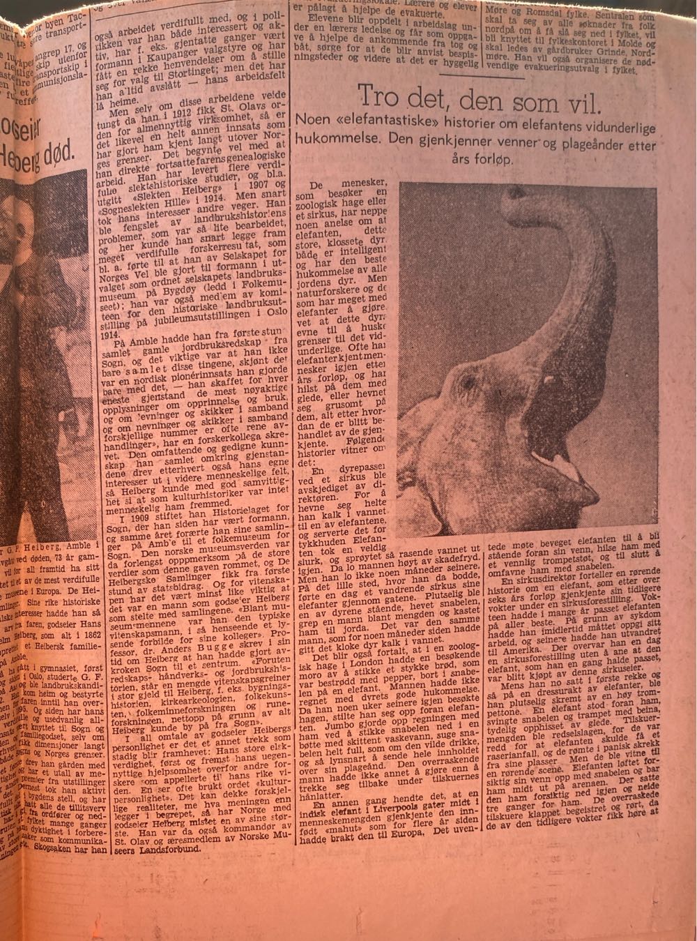 Aftenposten (H)  (November) magazine collectible - Main Image 4