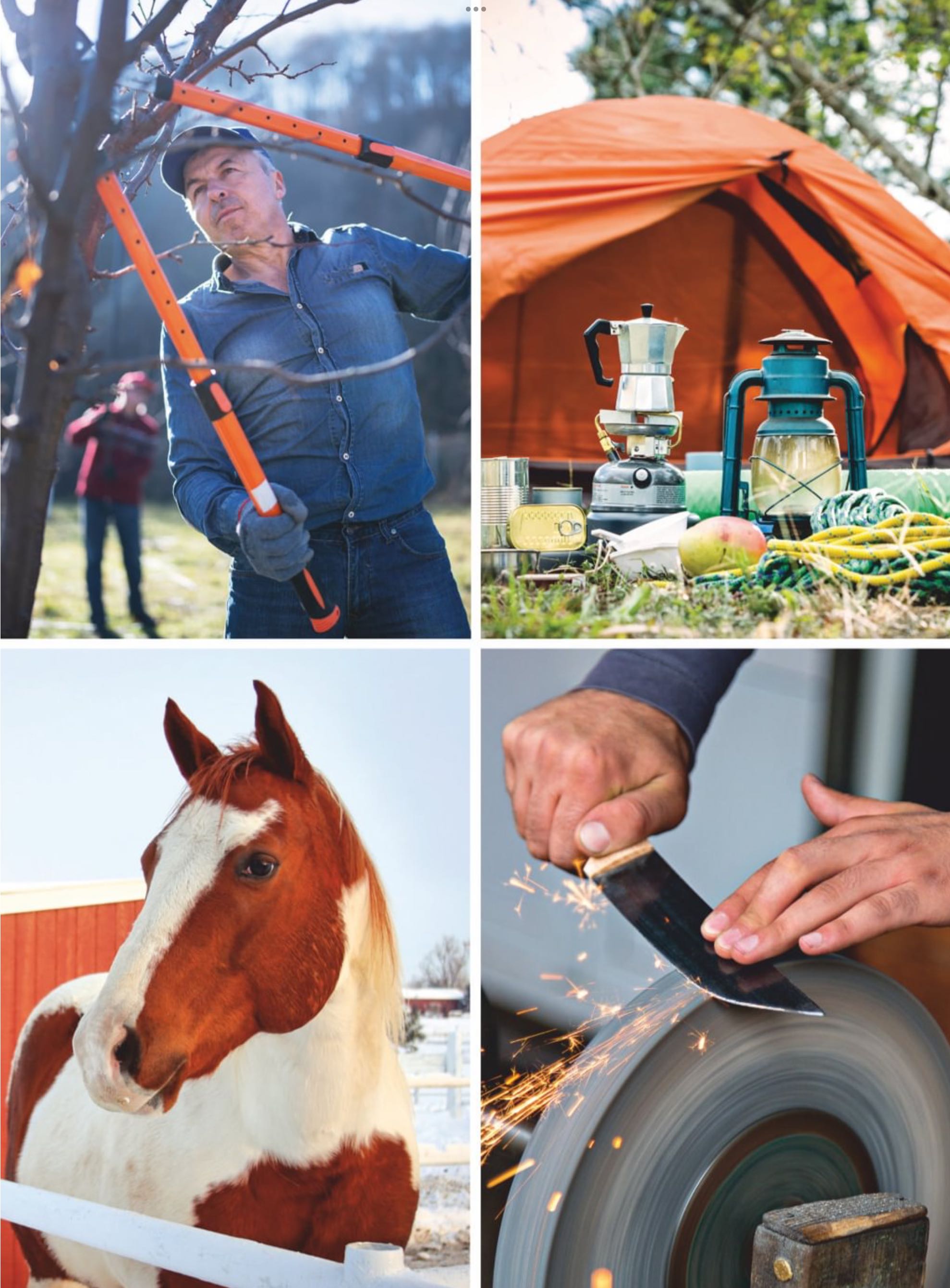 Backwoods Survival Guide  2023 February  (February) magazine collectible - Main Image 2