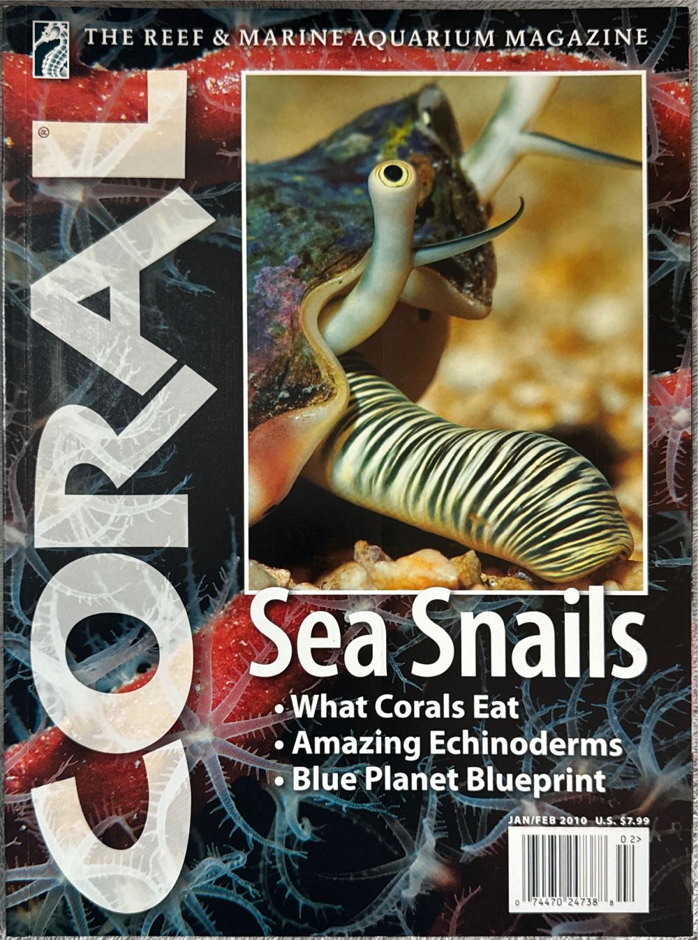 In The Line of Duty: A Tribute To New York’s Finest and Bravest