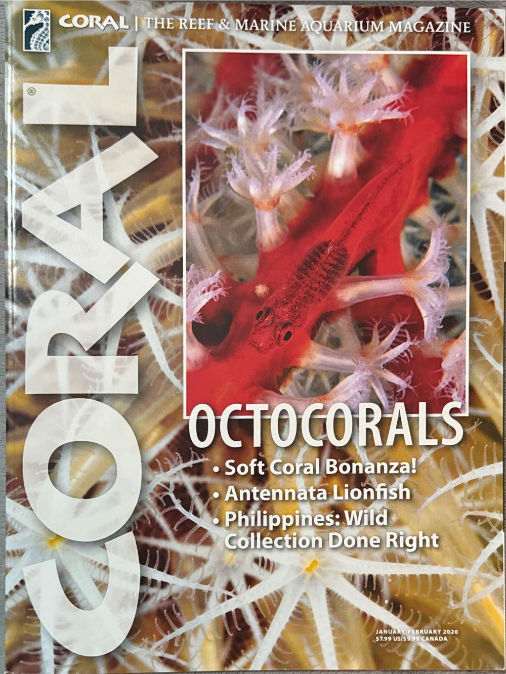 Phineas And Ferb 16 Perry