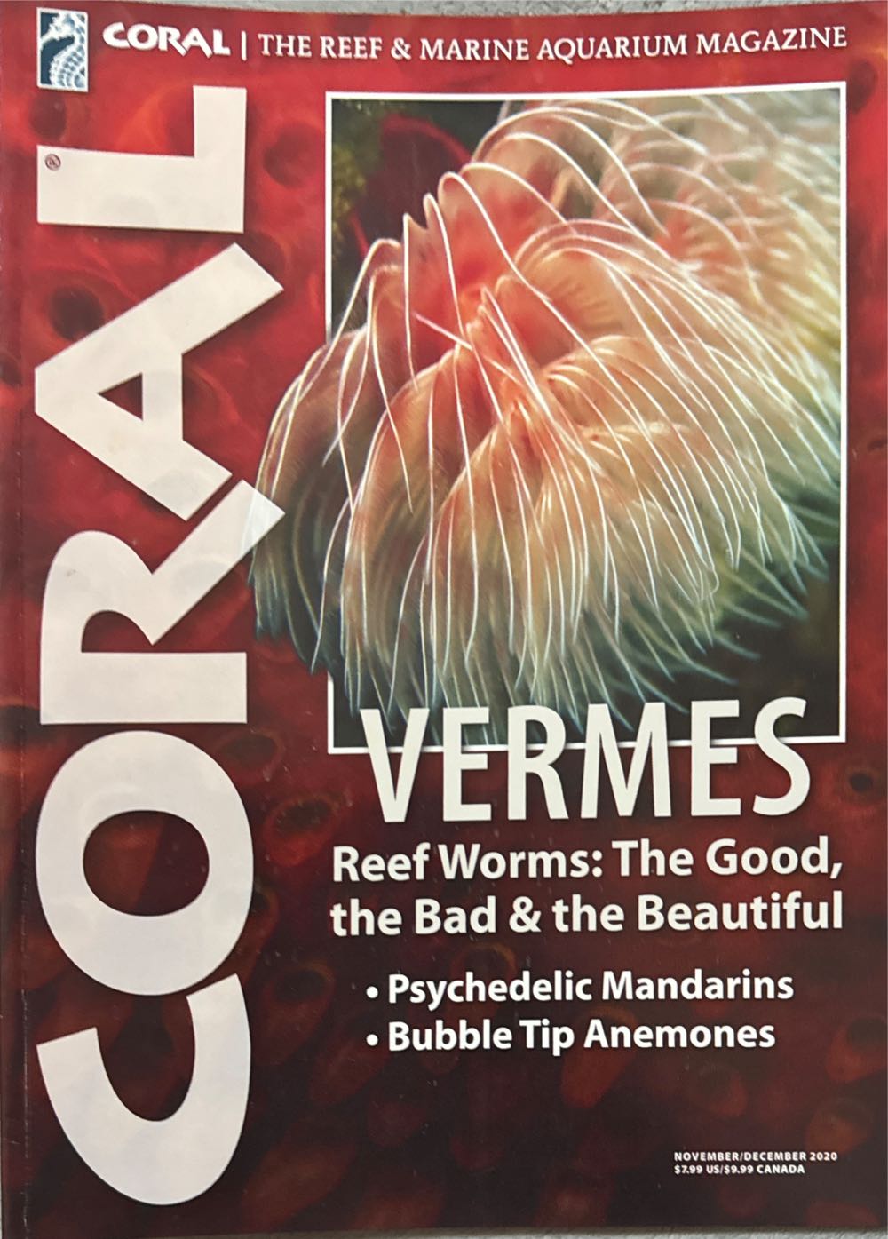 Life The Story Of Santa