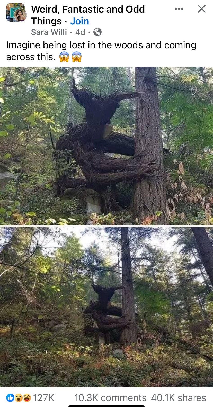 Mad 197  magazine collectible - Main Image 3