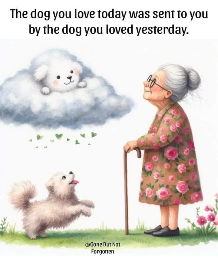 Mad 124  magazine collectible - Main Image 2