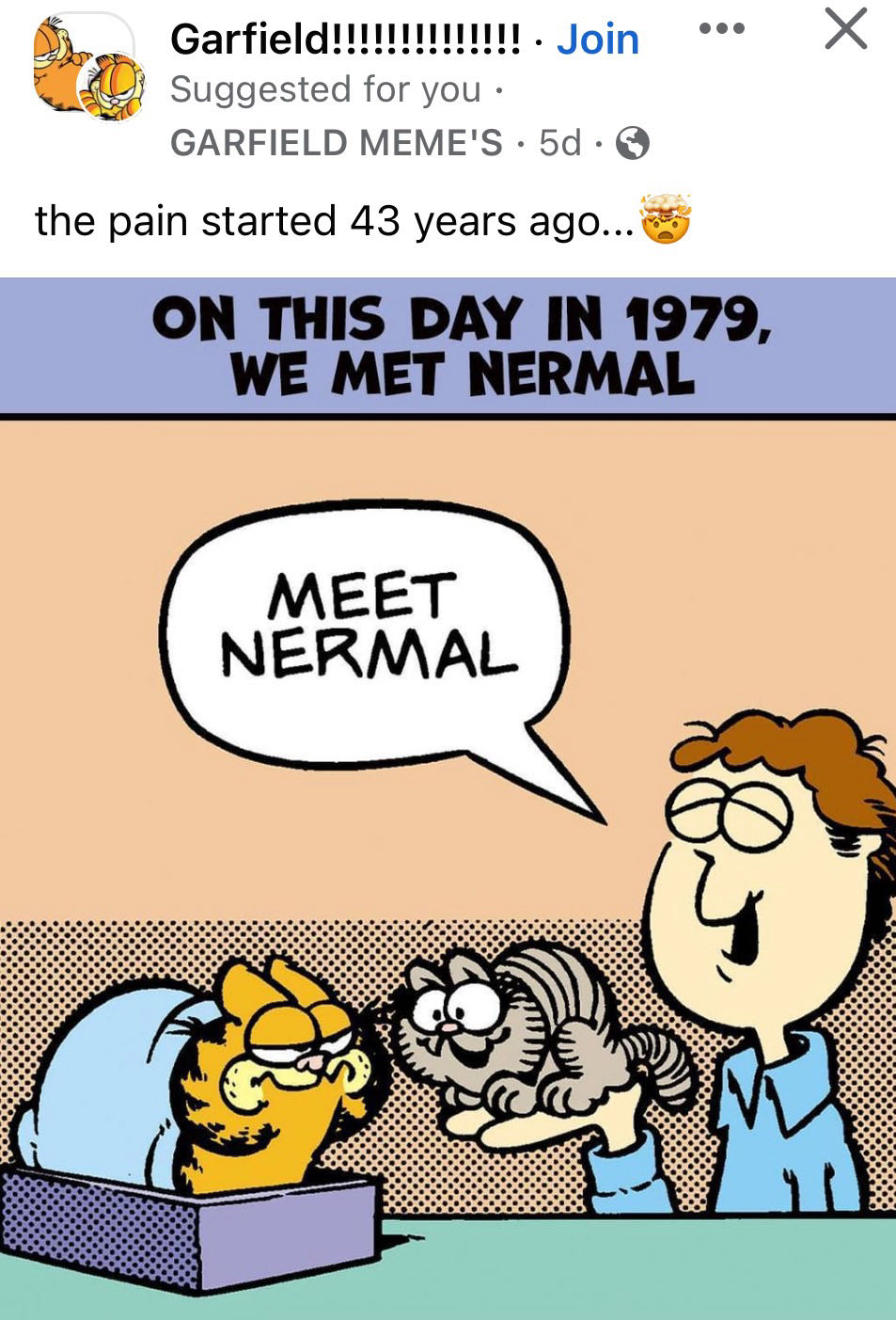 Mad XL 33  magazine collectible - Main Image 2