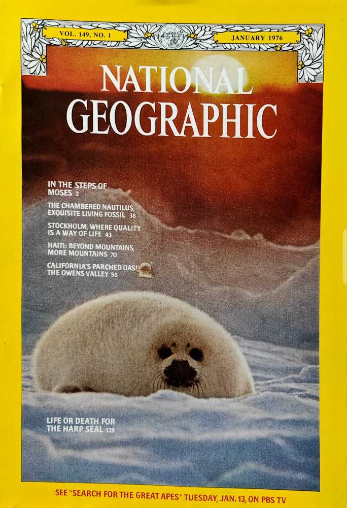 Pistole & Revolver Da Collezione