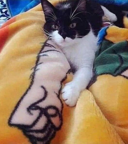 Cracked 233  magazine collectible - Main Image 3