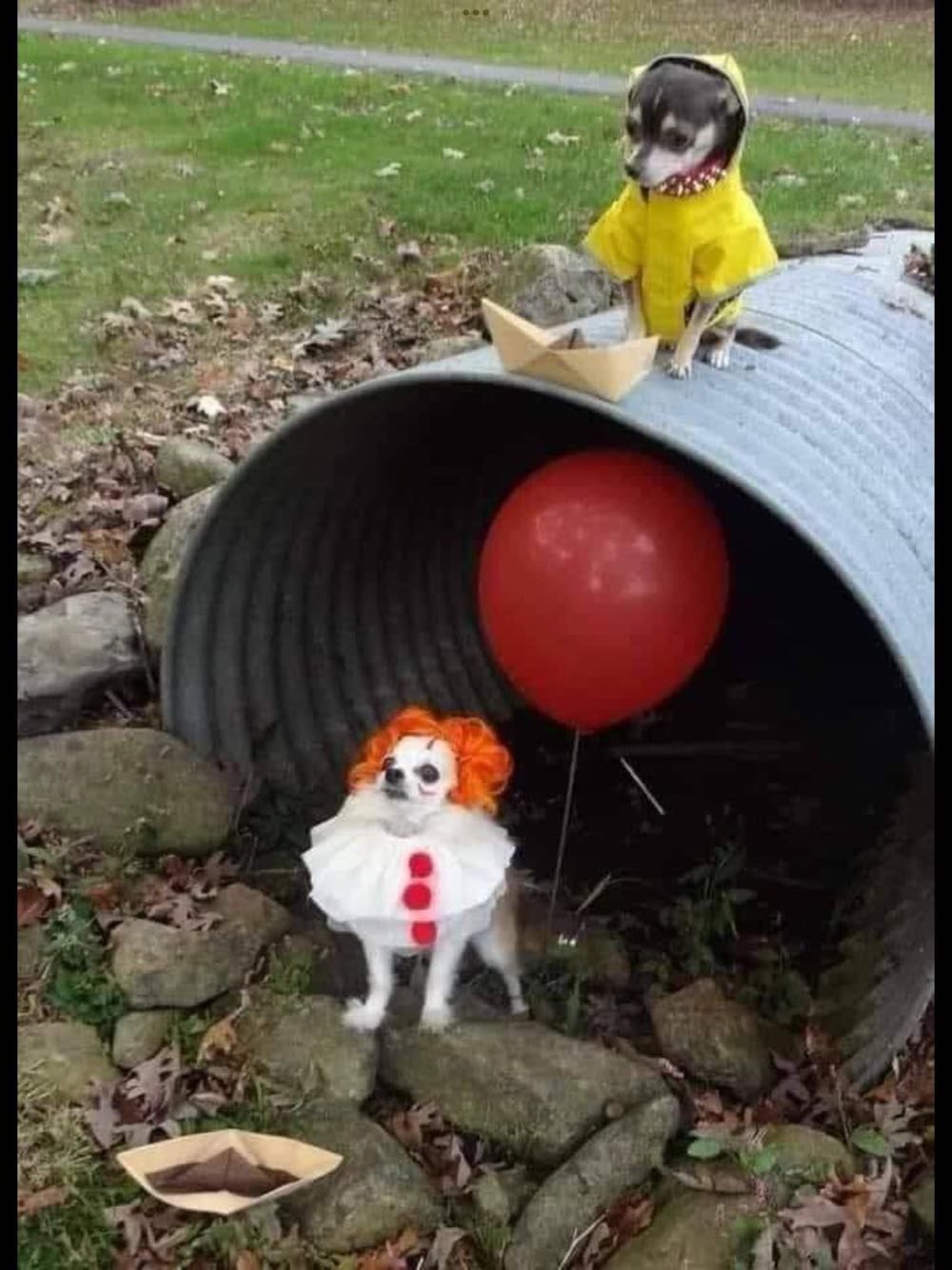 Cracked 262  magazine collectible - Main Image 4