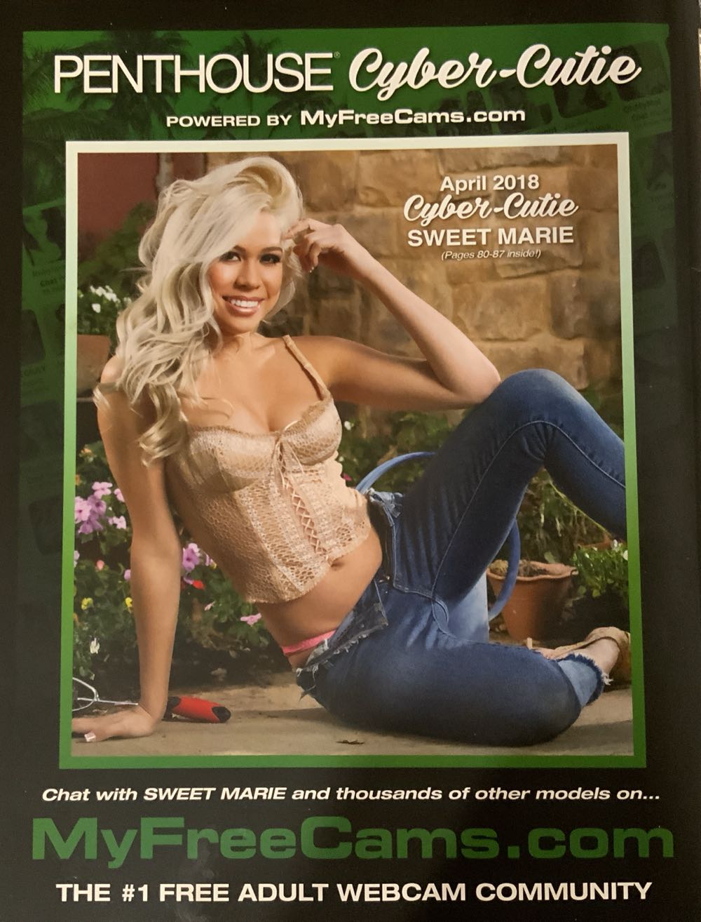 Penthouse Letters  (April) magazine collectible [Barcode 72527402242704] - Main Image 2