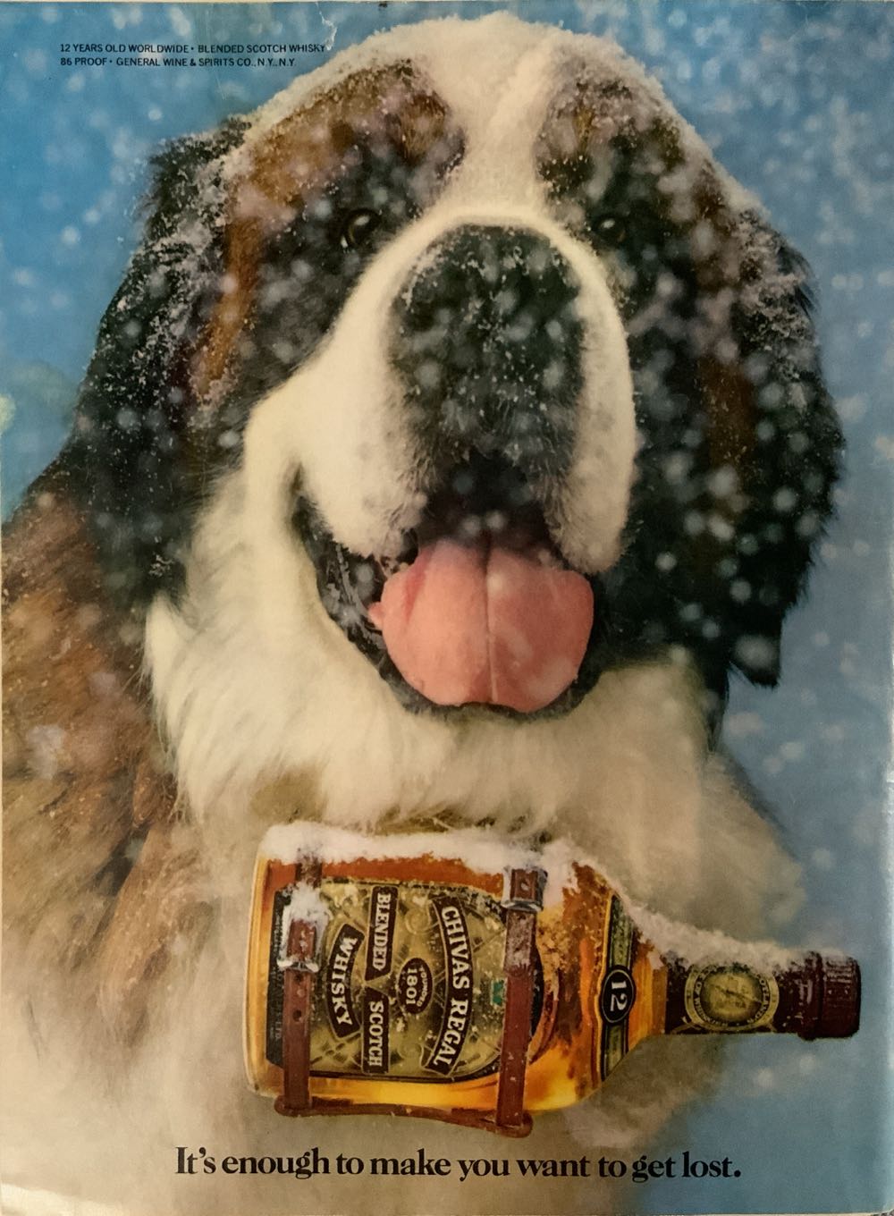 Sports Illustrated Swimsuit Edition  (February) magazine collectible [Barcode 07247000001906] - Main Image 2