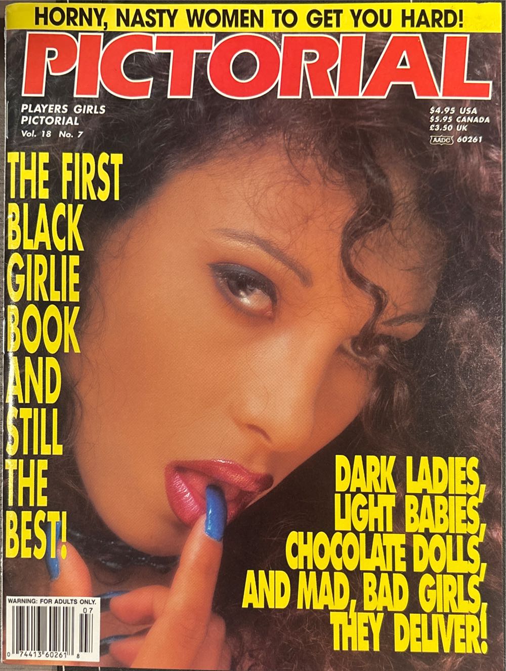 Log and Timber Home Living  2024 November