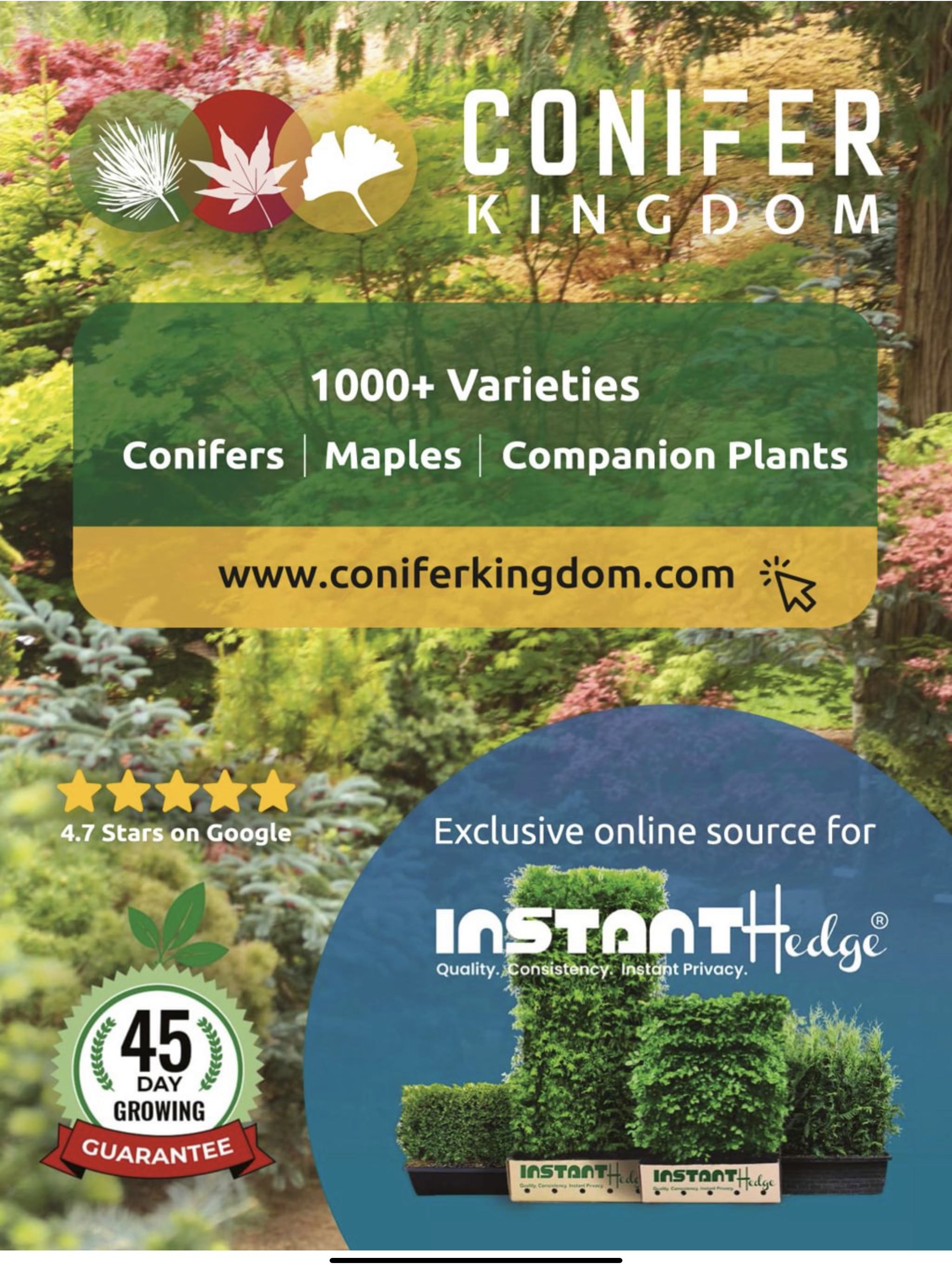 Garden Gate  2024 November-December  (November) magazine collectible - Main Image 2