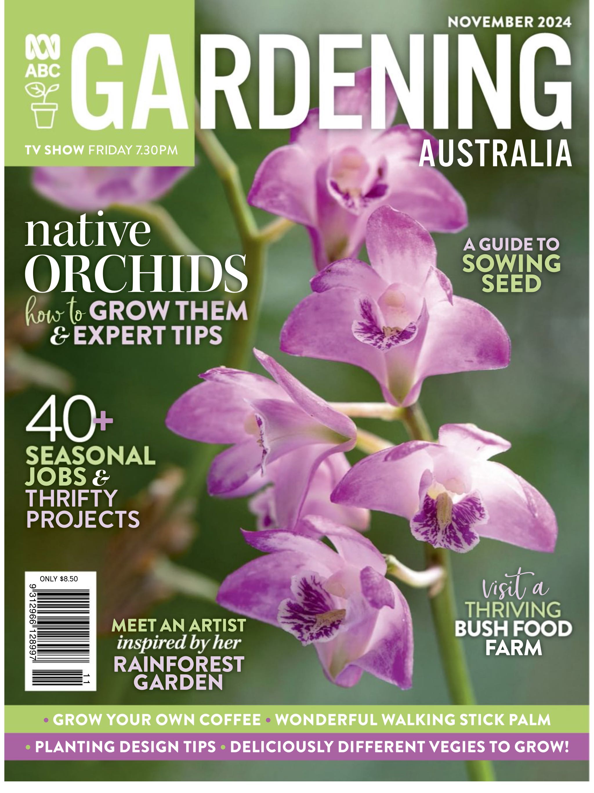 Shonen Jump Magazine Vol 7 Issue 11