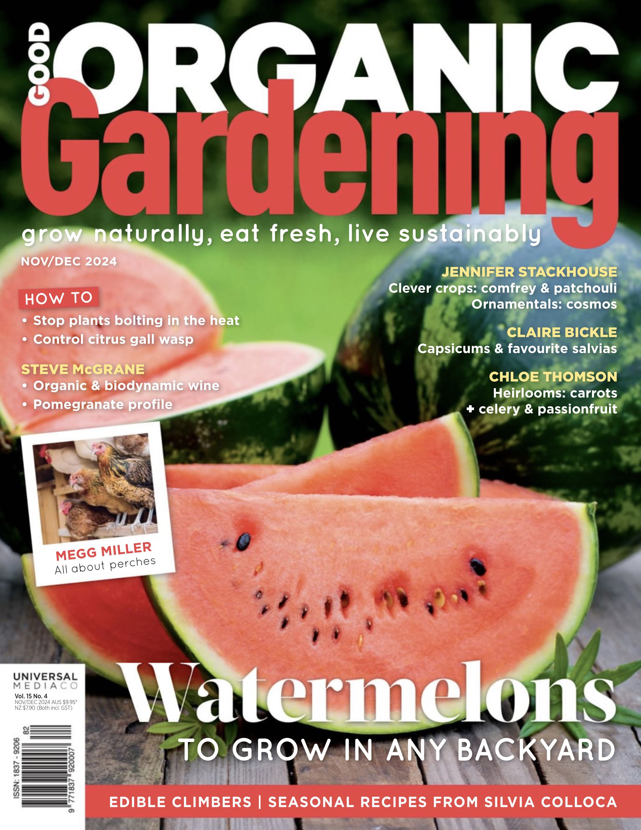 VOGUE - 2020 - 11 - Naomi Campbell