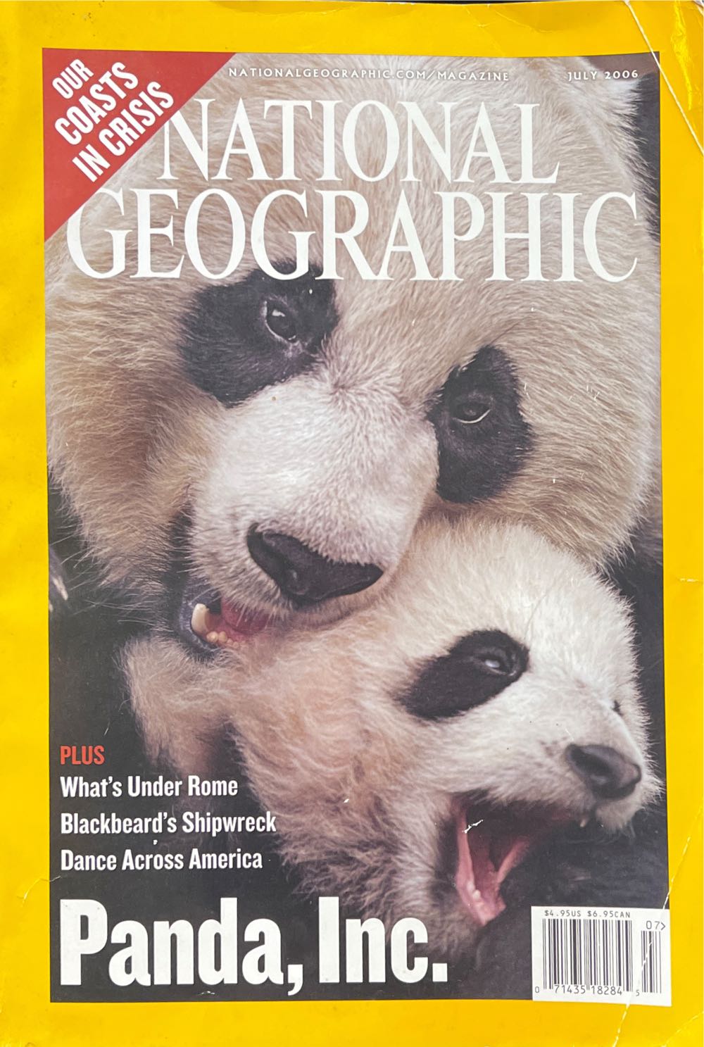 Annie's Halloween 21  2021 July