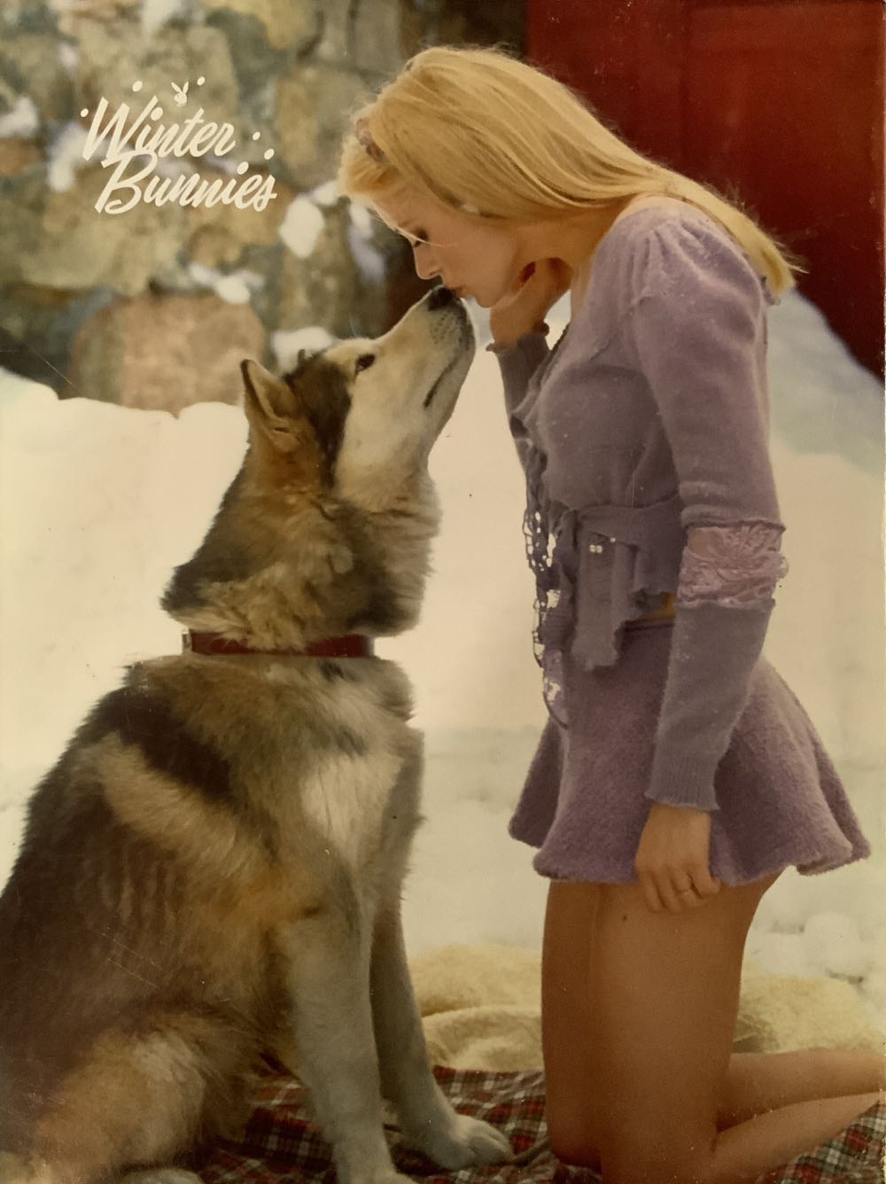 Playboy Special Collector’s Edition - Winter Bunnies  (February) magazine collectible - Main Image 2