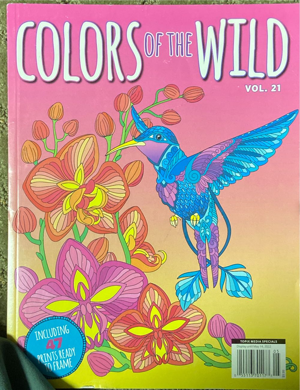 Dungeon Adventures For Tsr Role-playing Games: September October : Issue No. 31 Dragon And Dugeon Vol 6 No. 1