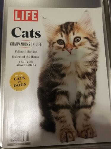 The Physical Media Advocate