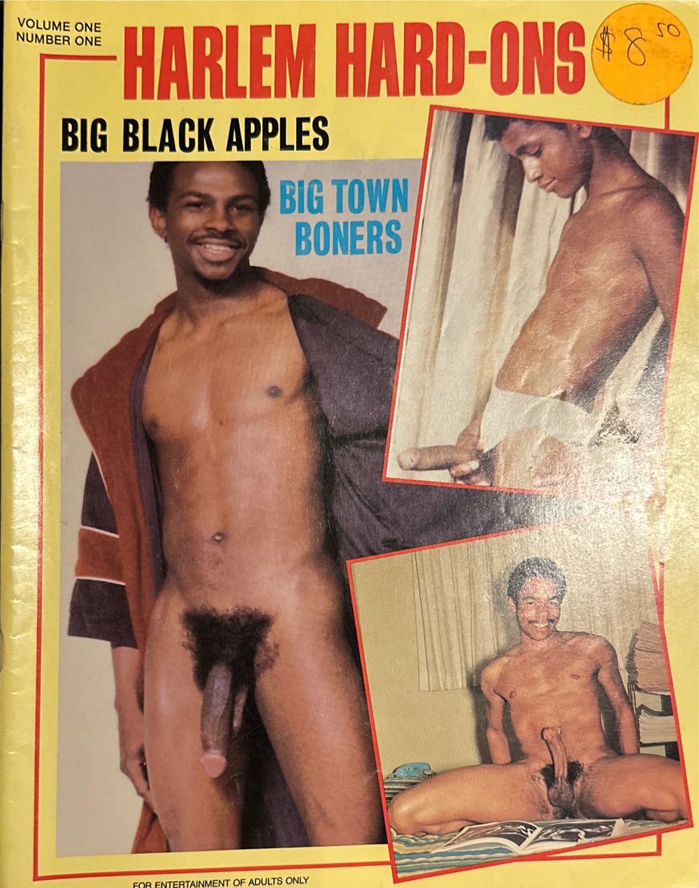 Shonen Jump Magazine Vol 8 Issue 11