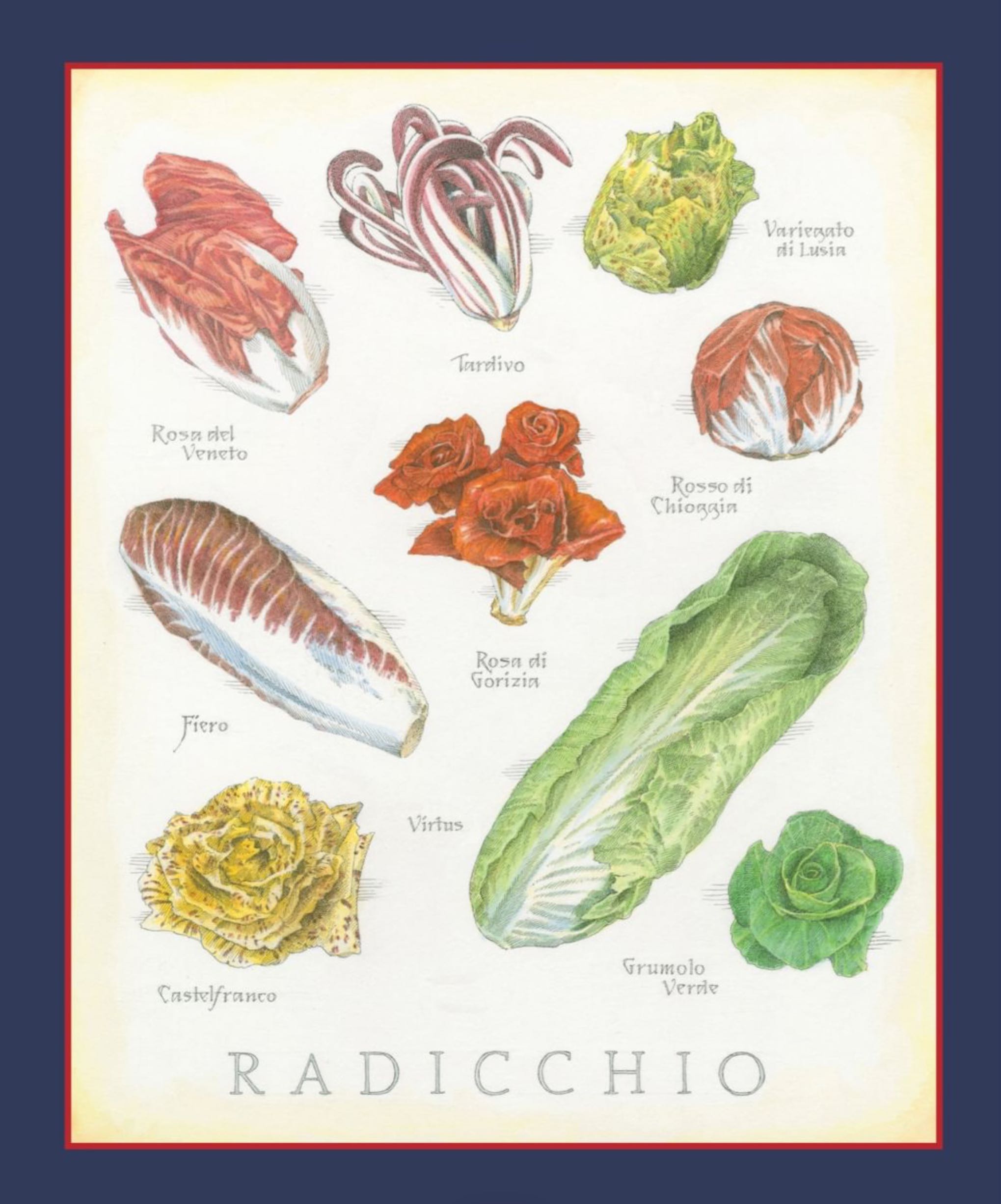 Cook’s Illustrated  2025 January-February  (January) magazine collectible - Main Image 2