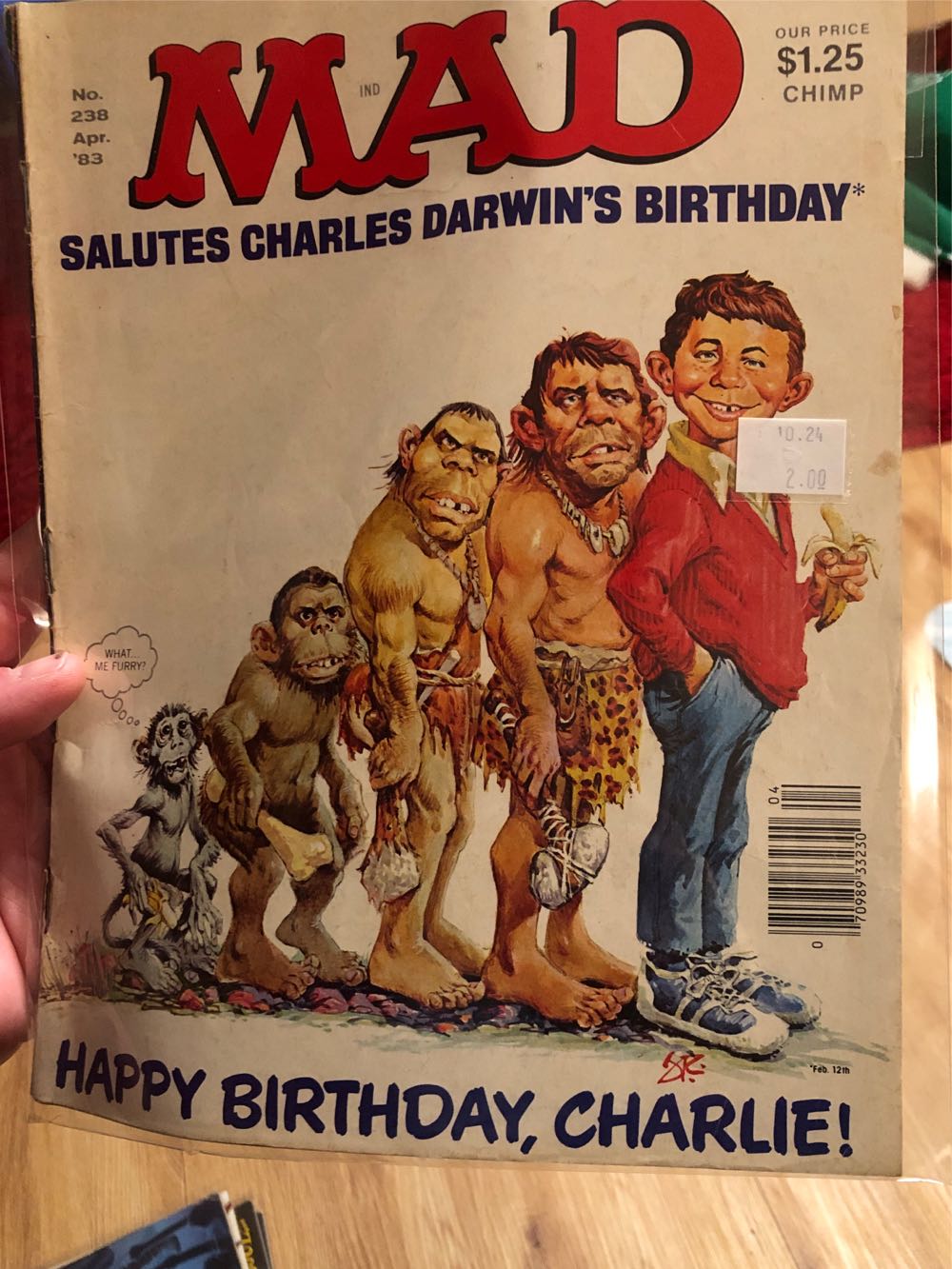 Norra Skogsmagasinet