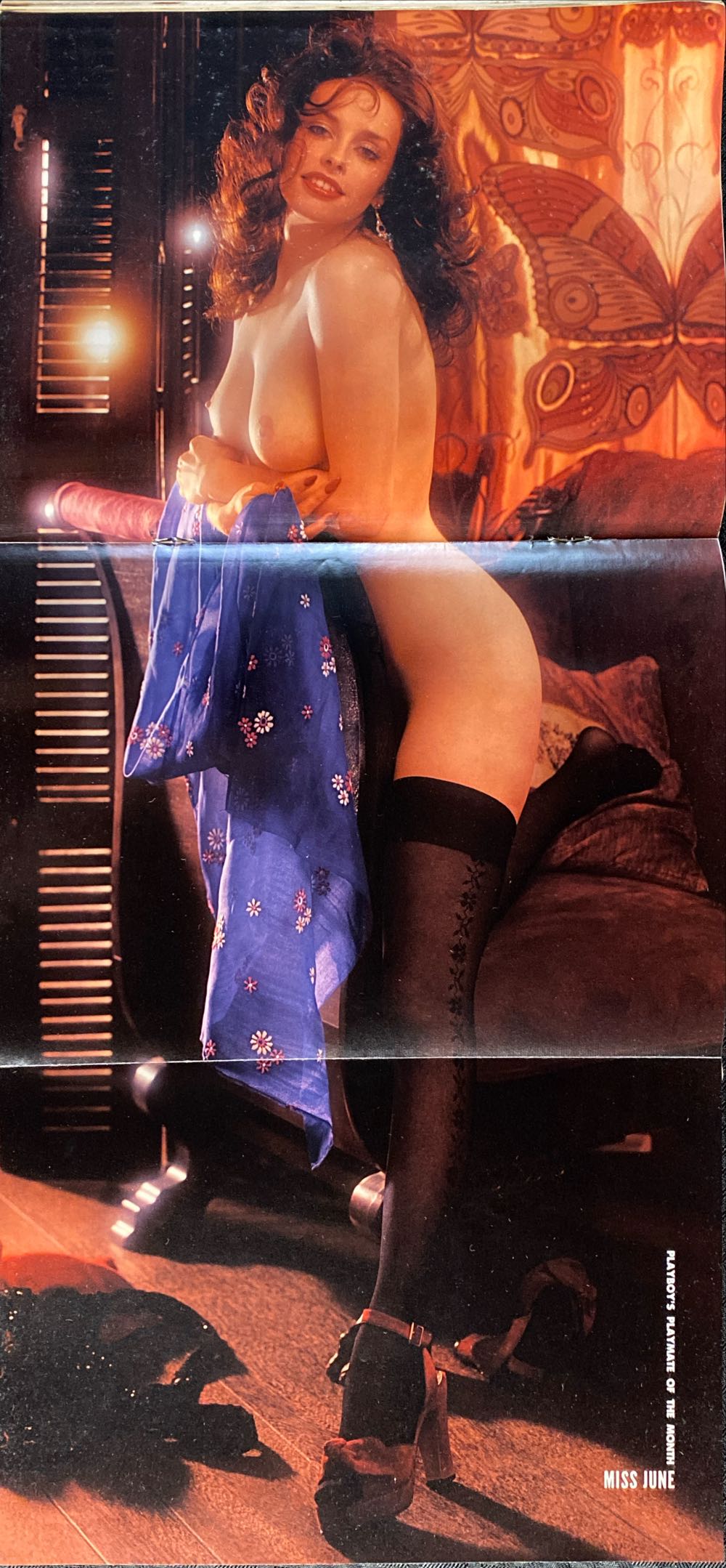 Playboy 1973 - June  magazine collectible - Main Image 3