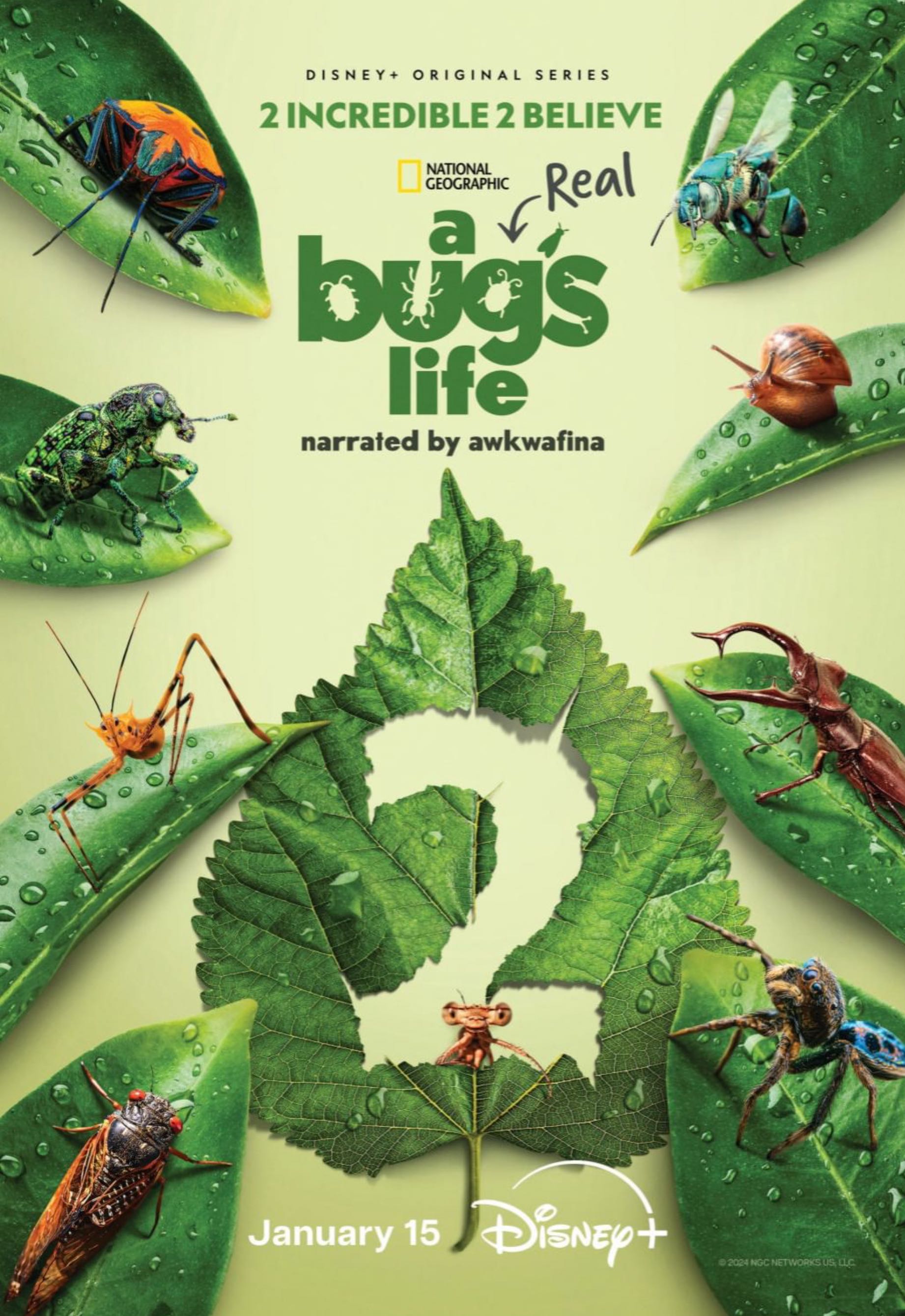 National Geographic Magazine  2025 January  (January) magazine collectible - Main Image 2