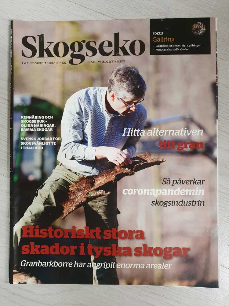 Doctor Who: New Adventures With The Eleventh Doctor