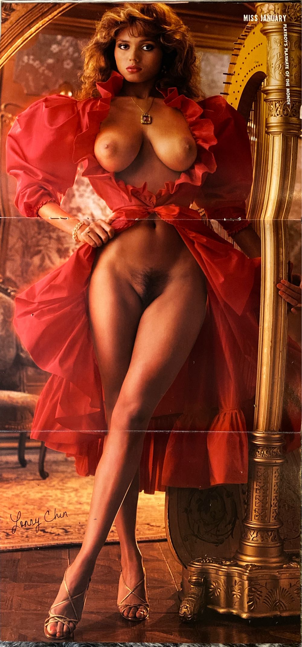 Playboy 1983 - 01  (January) magazine collectible - Main Image 4