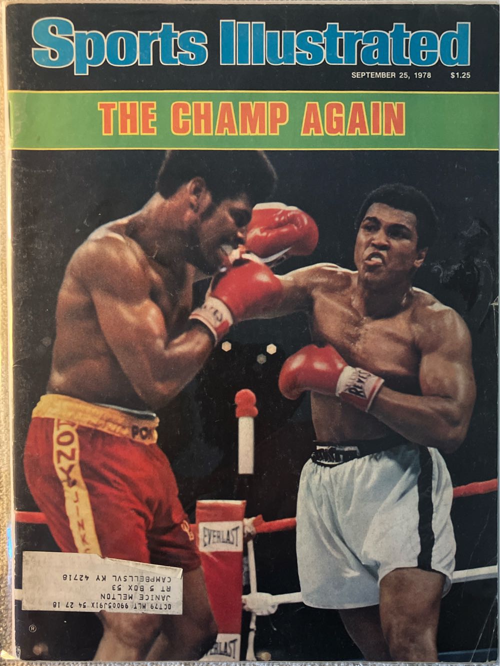 The Family Handyman: 228 Storage Tips & Easy Projects