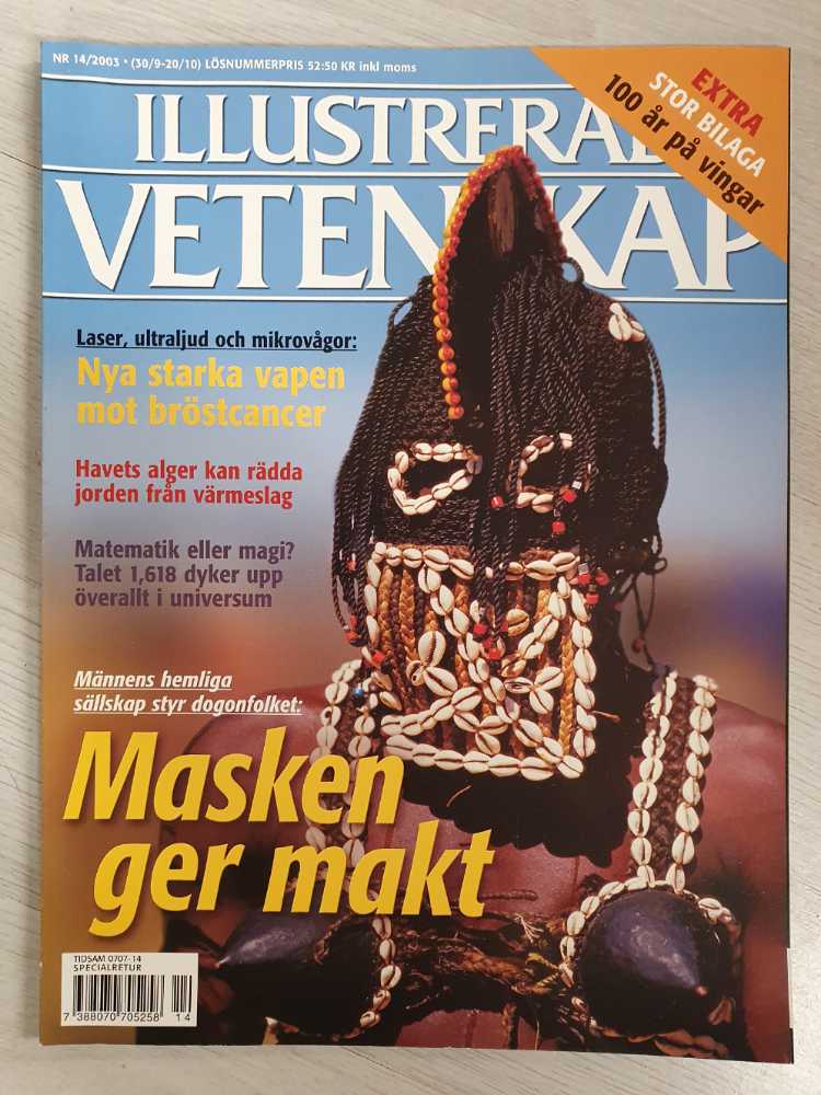 History Of Southfrok 