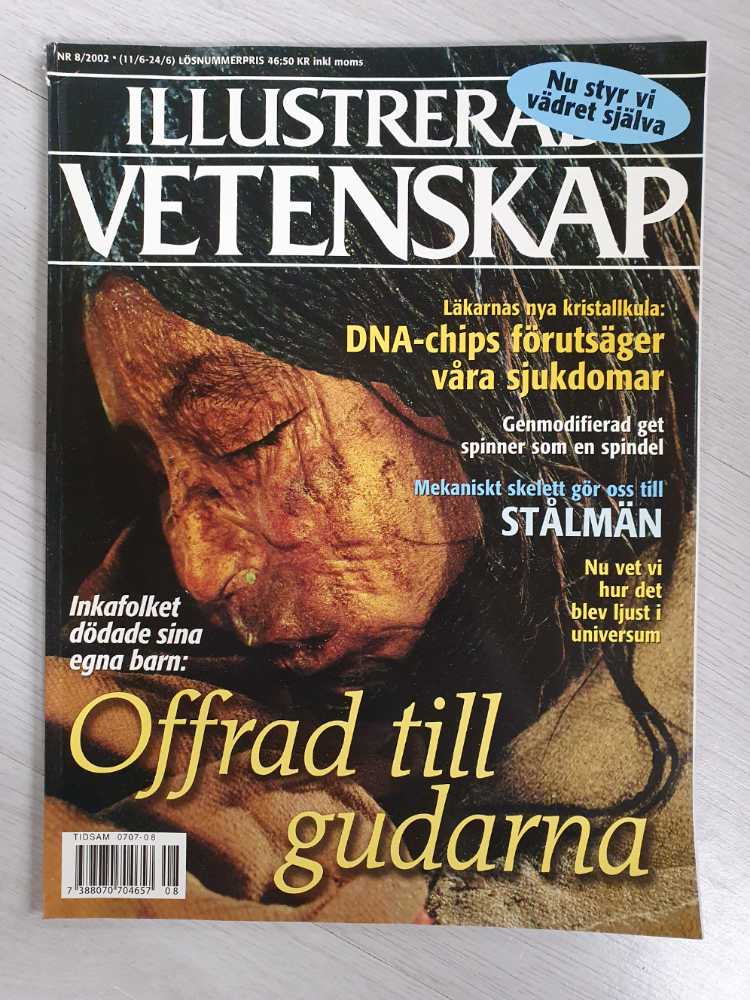 Übersee Container Trailer