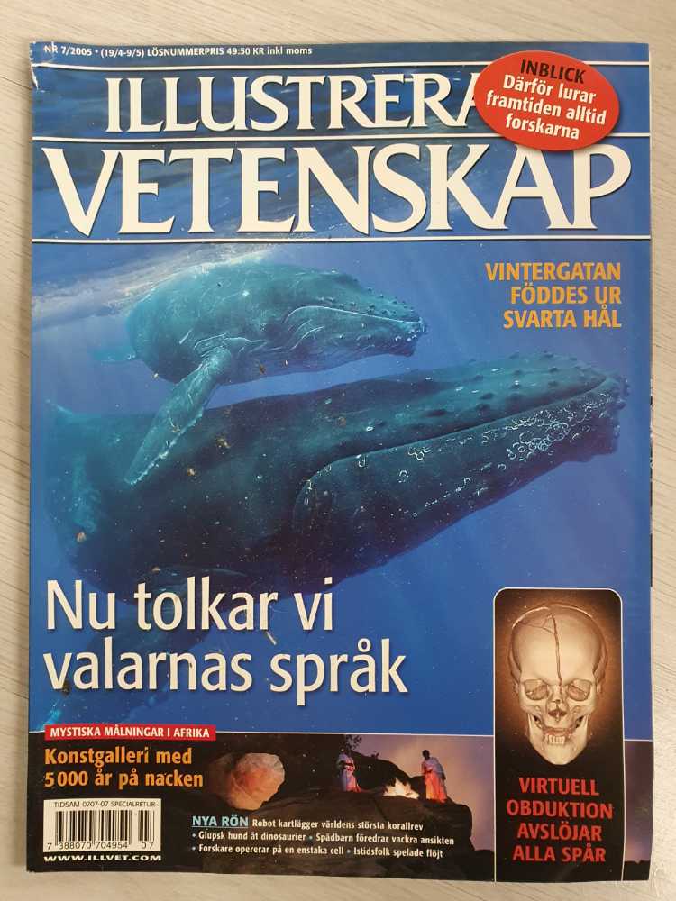 42078 MOD Rahmenrear - Tri-Drive